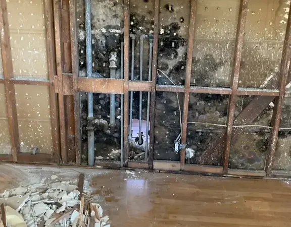 Room opened to the studs with wet debris on the floor