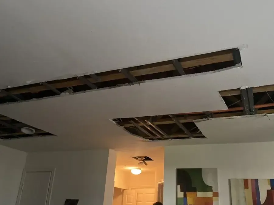 Ceiling drywall opened in strips so the joist bays can dry after a leak from above
