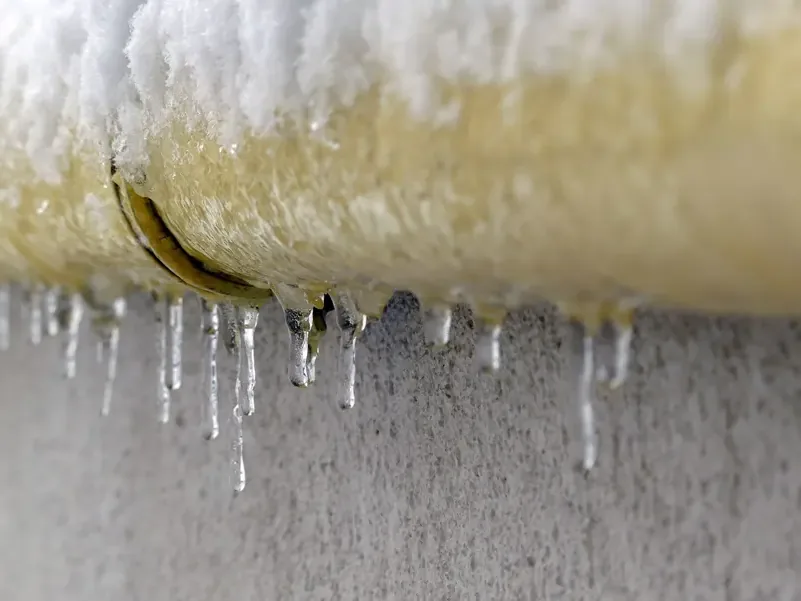 Pipe split open by ice, with icicles hanging under the torn insulation