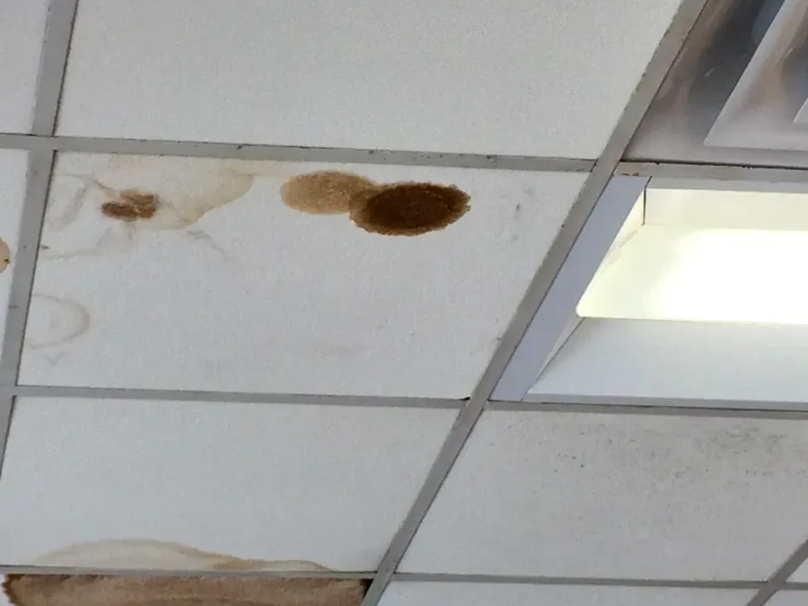 Brown water stains spreading across a ceiling under a roof leak