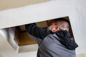Mold Remediation Services in Westminster, CO (1)