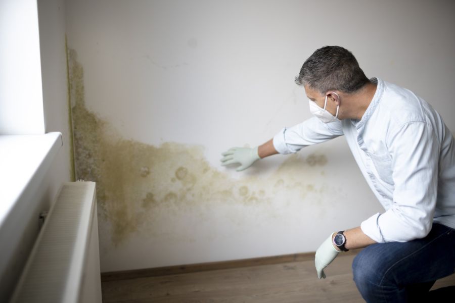 Mold Remediation by Pure Restore LLC